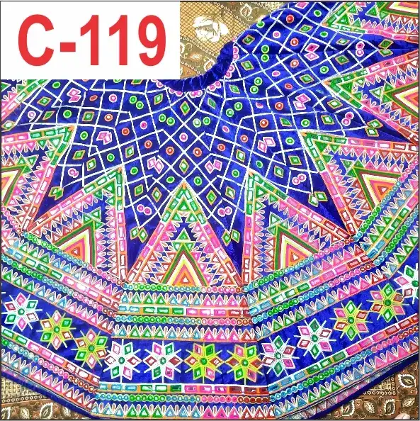 C119