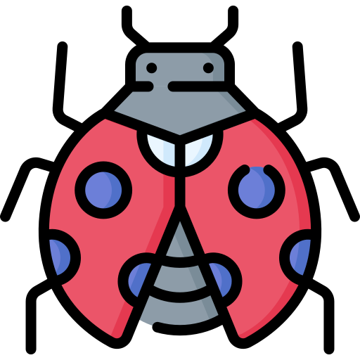 Insect