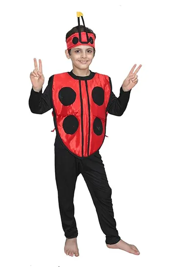 Lady Bug